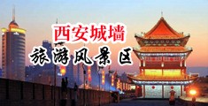 男女屌鸡网站纯肉中国陕西-西安城墙旅游风景区